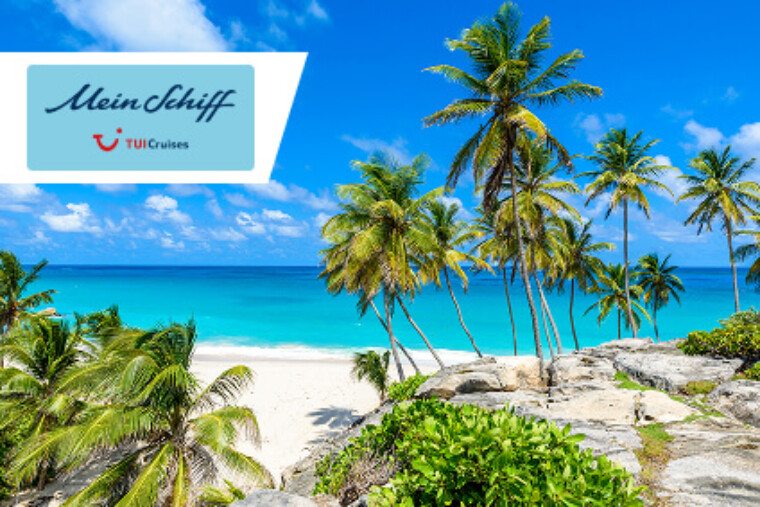 Entdecke die traumhafte Karibik