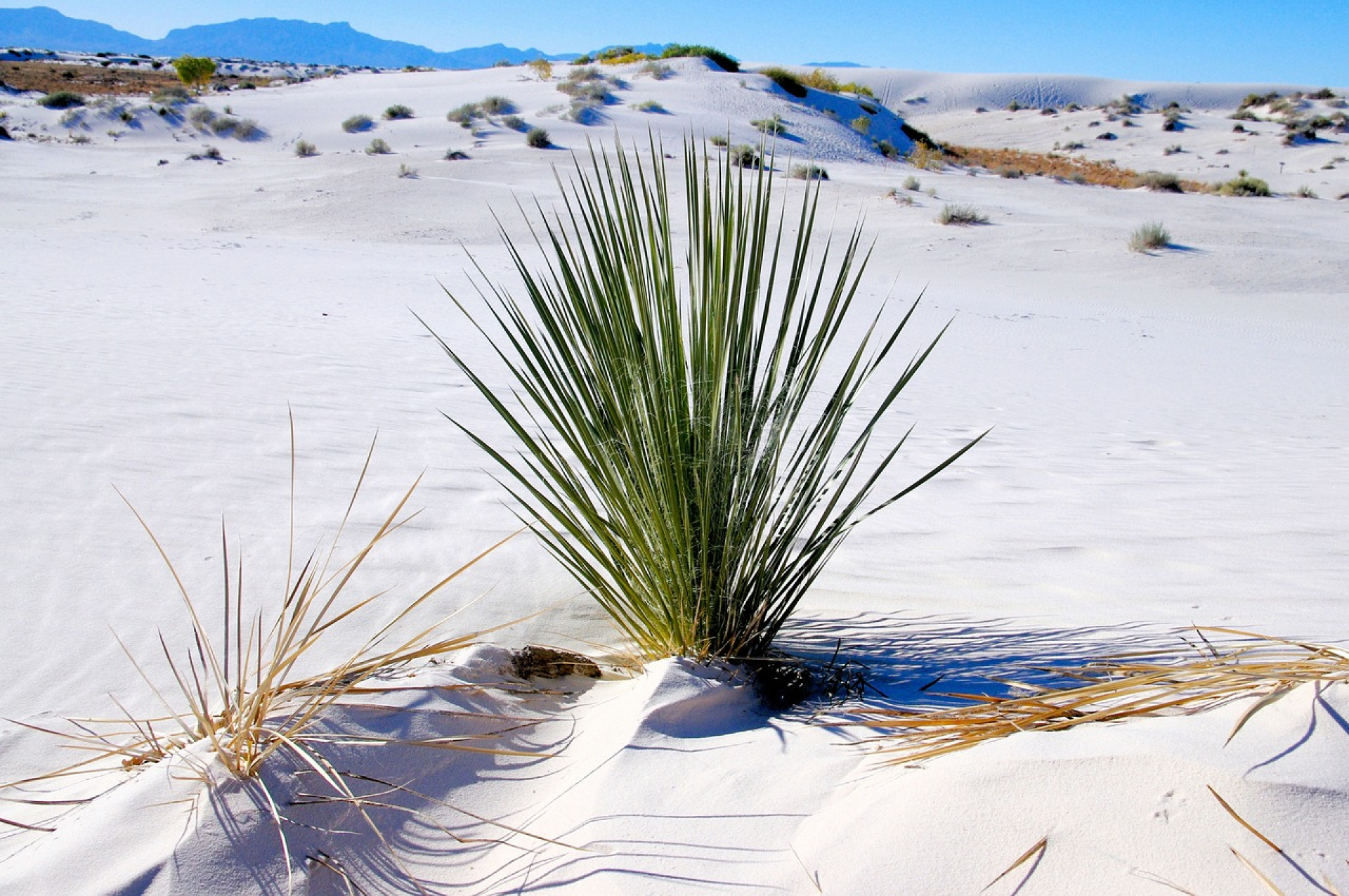 Mexiko_Beach