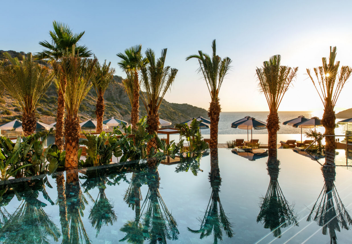 Palmen spiegeln sich in einem ruhigen Infinity-Pool bei Sonnenuntergang am Meer