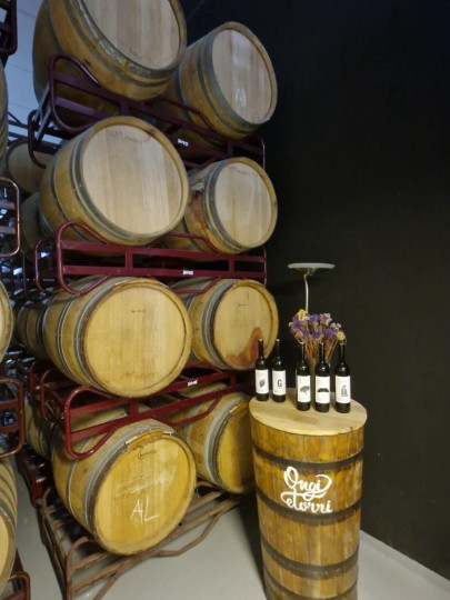 Wein Navarra
