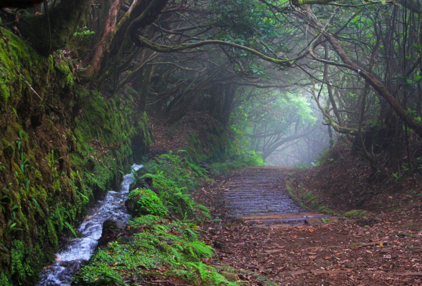 Madeira-4