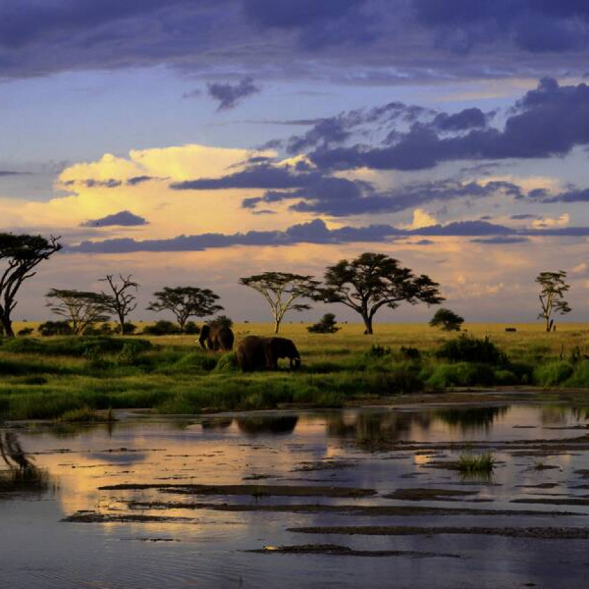 Tansania – Sansibar Serengeti darf nicht sterben 